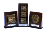 Souvenir Shields